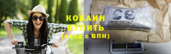 шишки Армянск