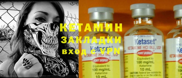 шишки Армянск